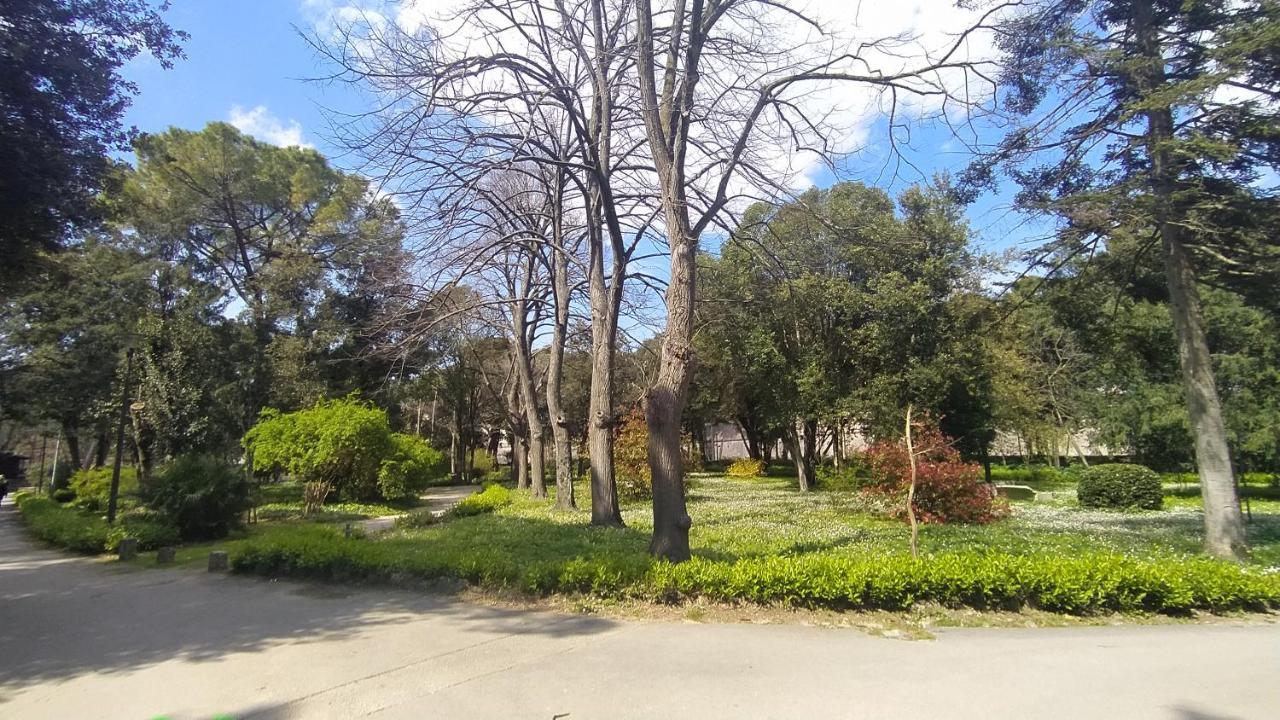 Apartment Antique Zadar - City Center מראה חיצוני תמונה